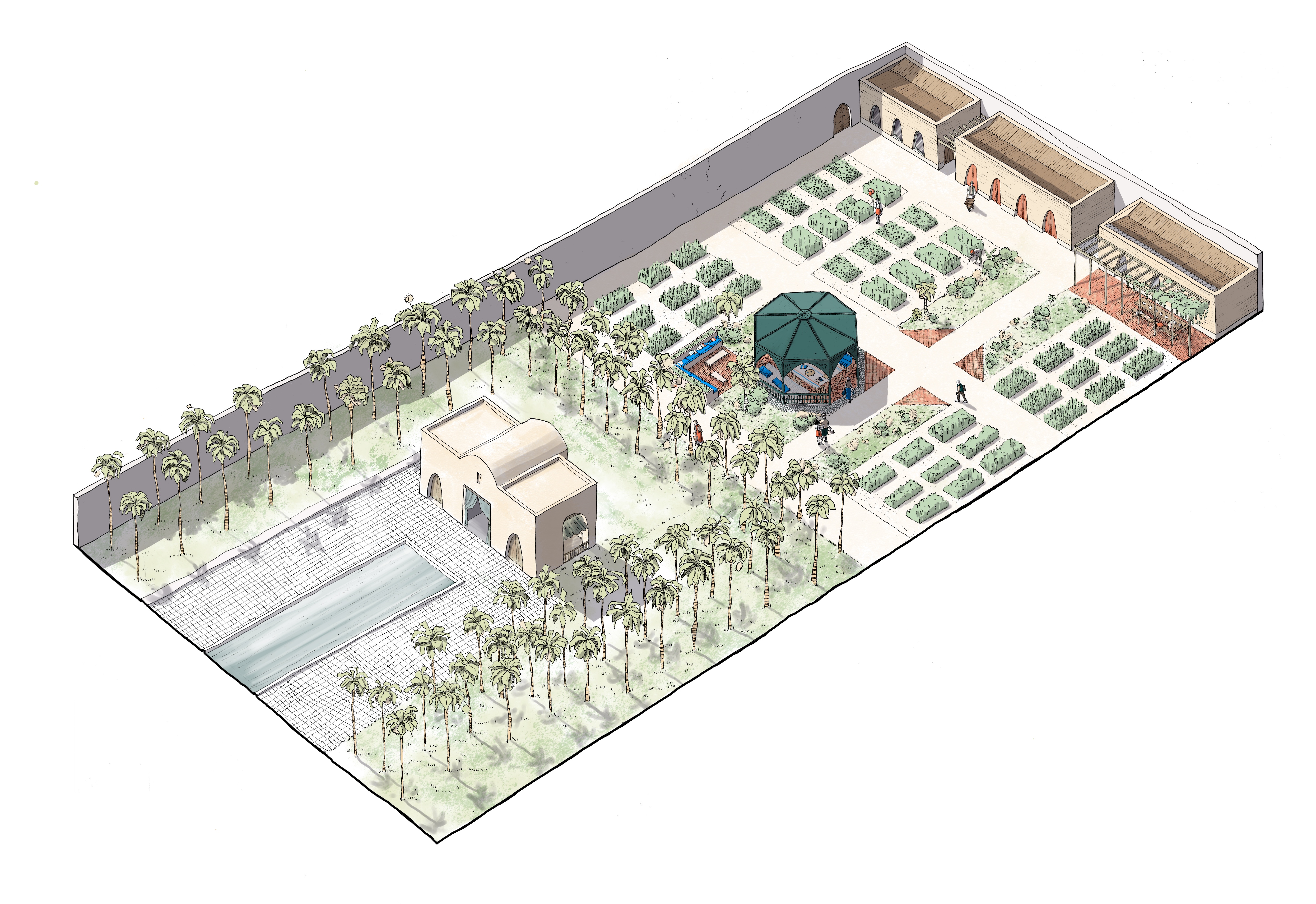 Un jardin potager à Tunis